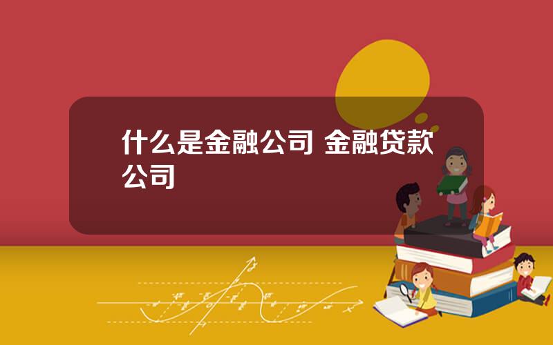 什么是金融公司 金融贷款公司